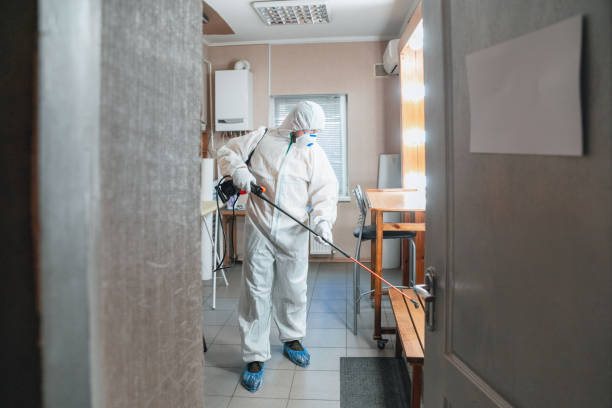 Panora, IA Mold Removal Company