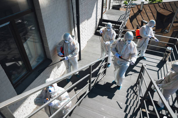 Best Water Damage & Mold Remediation  in Panora, IA