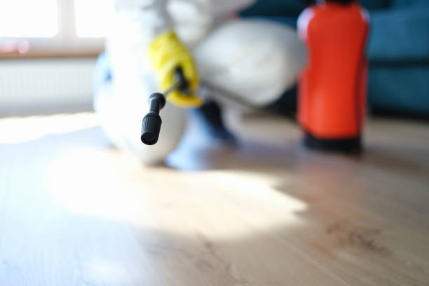 Best Mold Remediation for Rental Properties  in Panora, IA