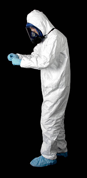  Panora, IA Mold Removal Pros