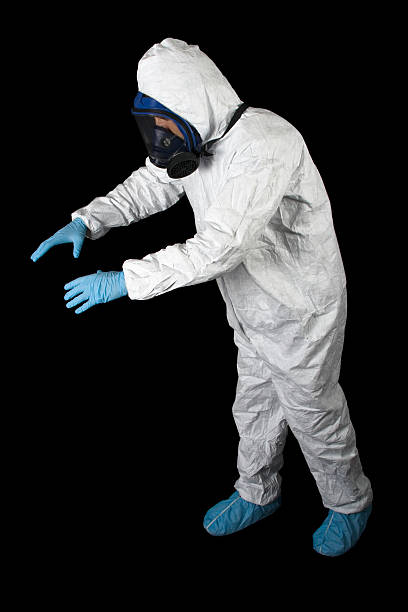 Best Mold Documentation for Insurance Claims  in Panora, IA