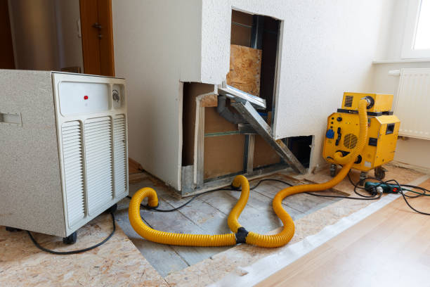 Best Mold Removal for HVAC Installations  in Panora, IA